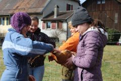 IMG_8964