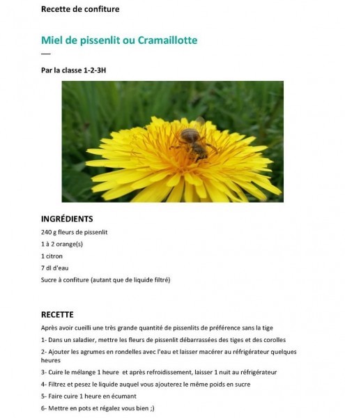 Recette-Cramaillotte